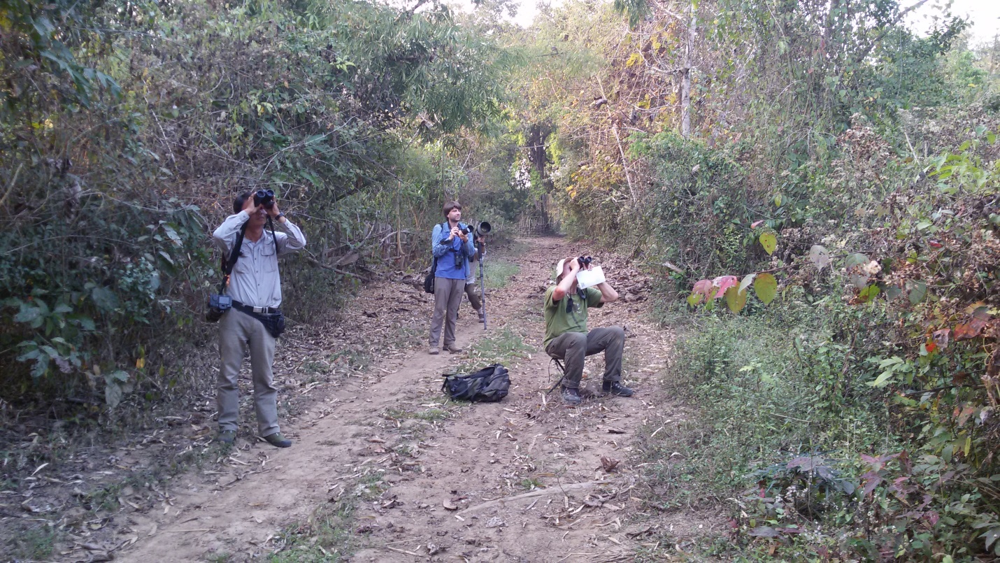 Bird Watching Tour Expedition in Indawgyi Wildlife Sanctuary